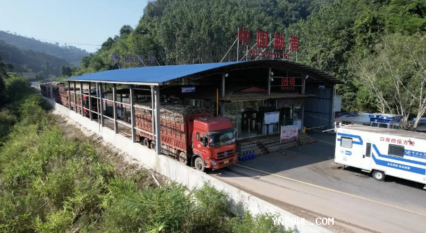 中老鐵路,鐵路集裝箱運(yùn)輸