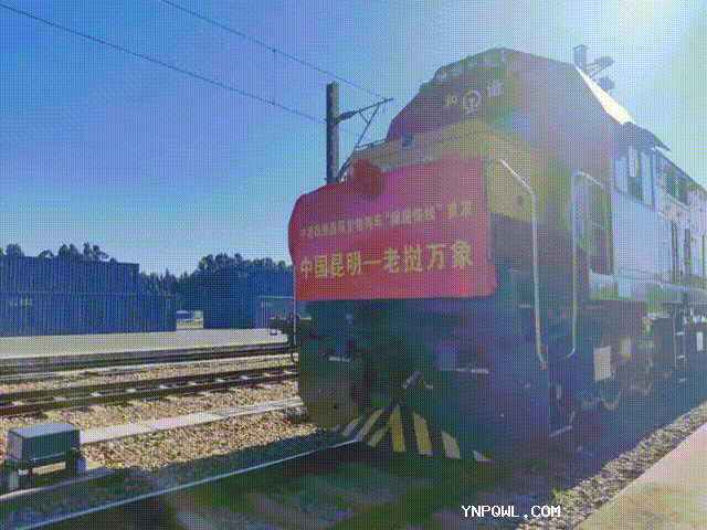 中老鐵路國(guó)際貨物列車“瀾湄快線