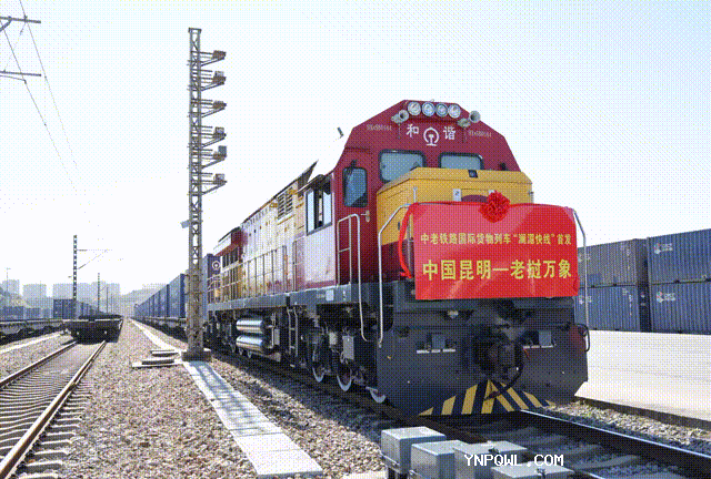 中老鐵路進出口鮮活貨物運輸強勁