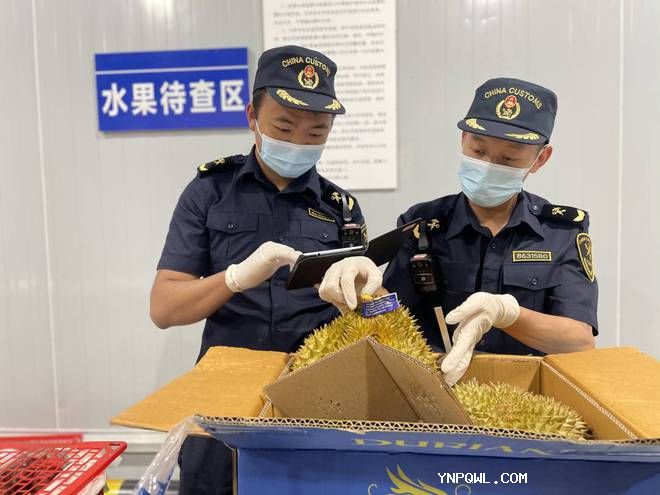 中老鐵路水果運(yùn)輸 