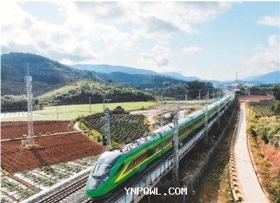 中老鐵路客旺貨暢實現(xiàn)新年開門紅