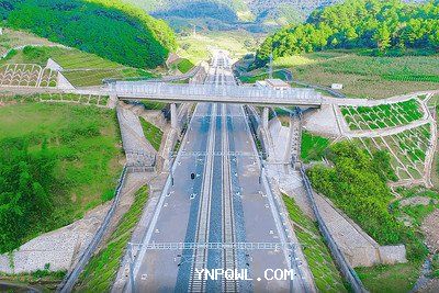 中老鐵路運輸在農(nóng)產(chǎn)品出口方面有哪些挑戰(zhàn)？